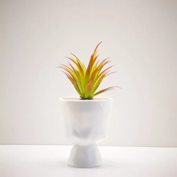 Artificial Succulent Plants