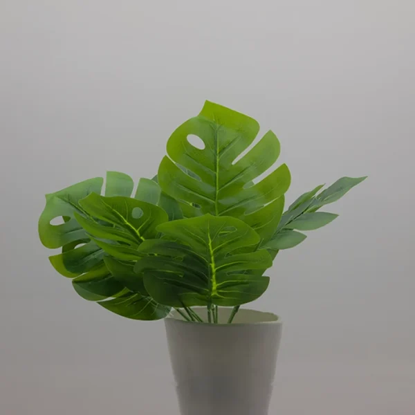 Monstera Palm Plant