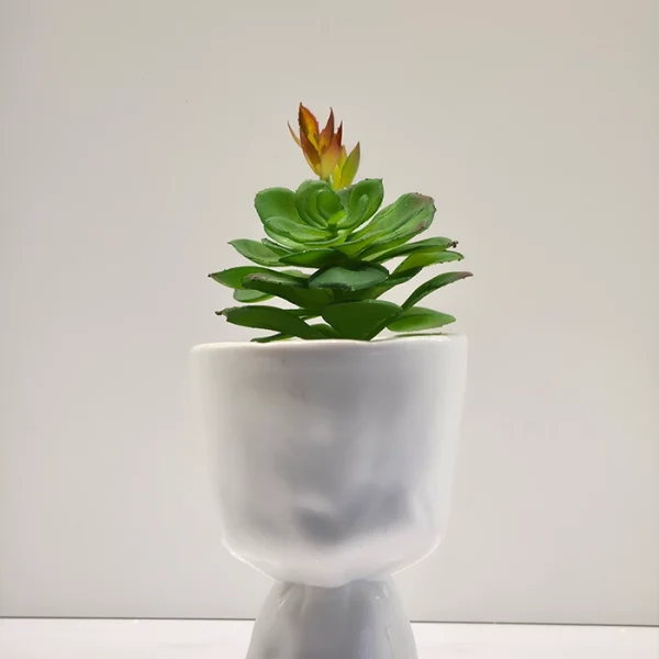 Artificial Succulent Plants