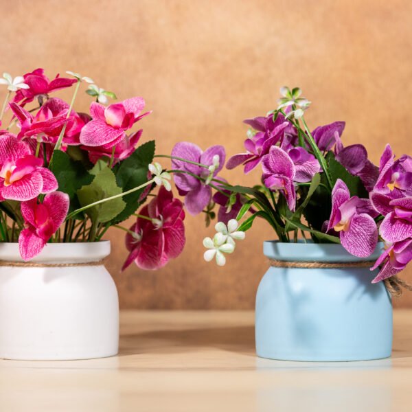 Artifical Orchid Plants in Decorative Vases