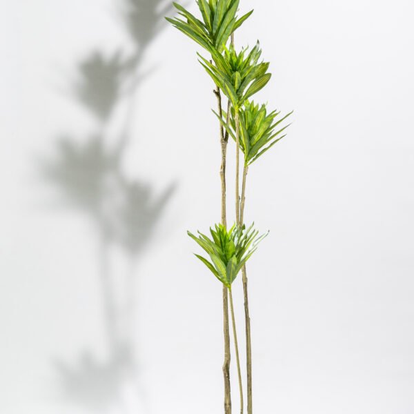 Artificial Dracaena Reflexa plant for indoor and outdoor