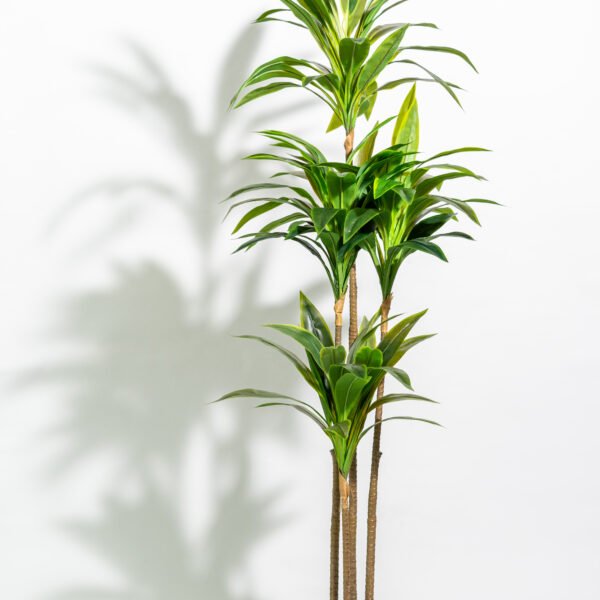 Dracaena Decorative silk plant