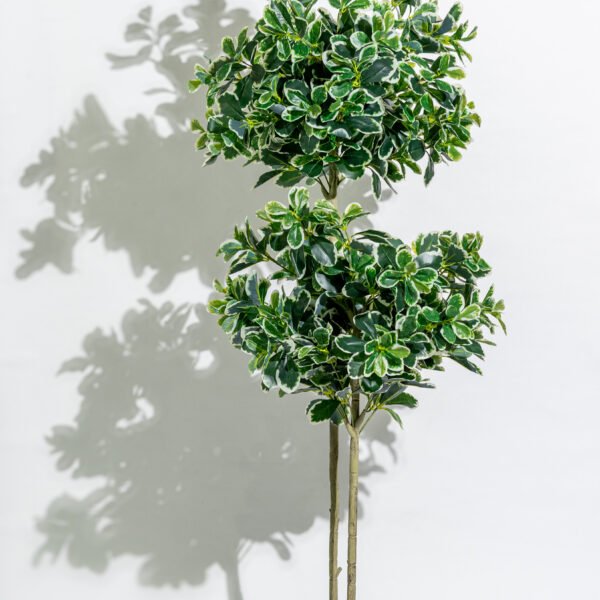Artificial Ficus benjamina plant