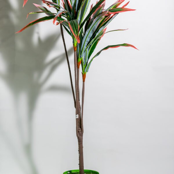 Artificial Decorative Cordyline plant for living and bedroom
