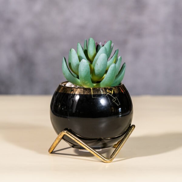 Artificial Succulent plant in a Black Ceramic Pot with a Gold-colored Metal Stand