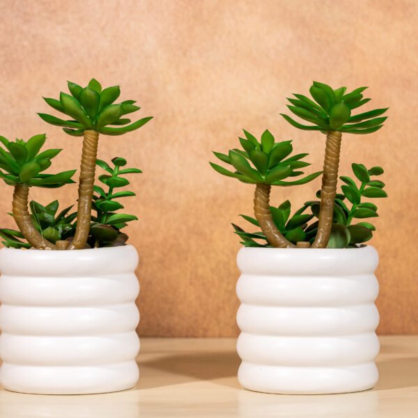 Artificial succulent plants in white,ribbed pots
